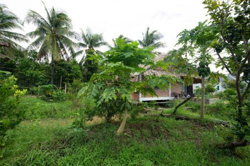 Bed & Breakfast Coco Land Homestay