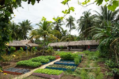 Bed & Breakfast Coco Land Homestay