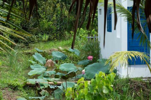 Bed & Breakfast Coco Land Homestay