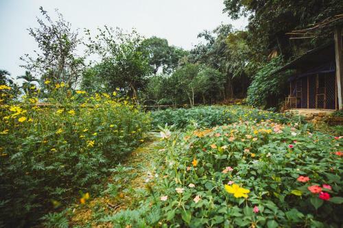 Agroturismo Bavi Homestead
