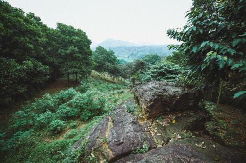 Agroturismo Bavi Homestead