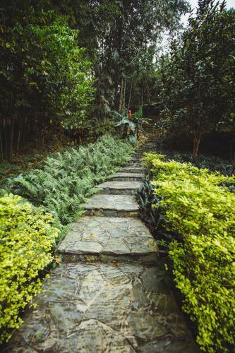 Agroturismo Bavi Homestead