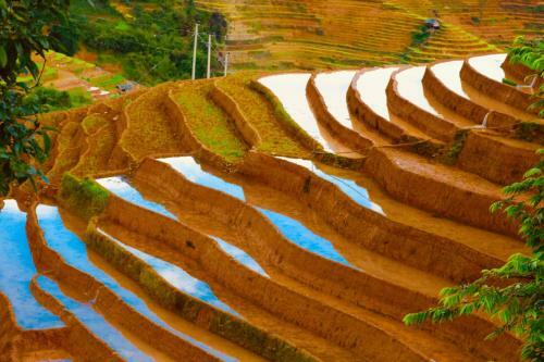 Do Gu Homestay
