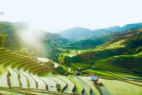 Do Gu Homestay