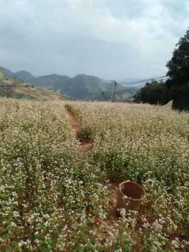 Do Gu Homestay