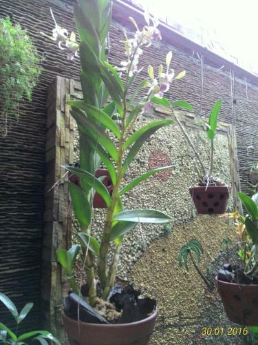 Hostal Manh Hung Guest House