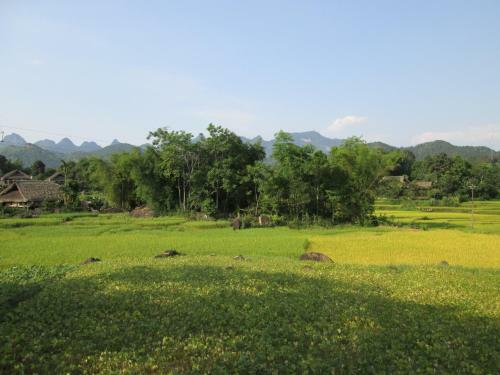Dong Que Homestay