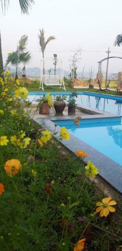 Bed & Breakfast Palafita Bungalow
