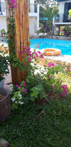 Bed & Breakfast Palafita Bungalow