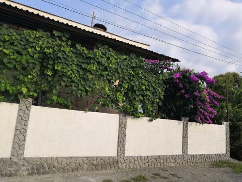 Hostal Guesthouse Bougainvillea