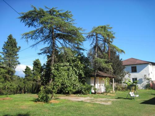 Hostal Guest House Inkit