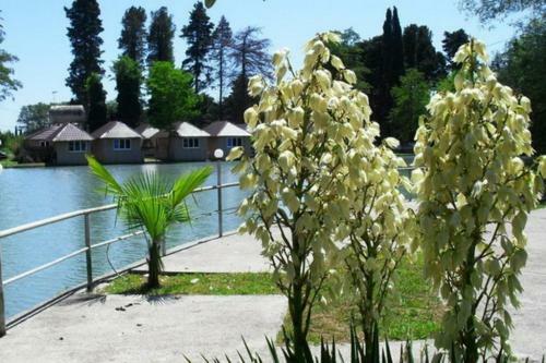 Ostrov Park-hotel
