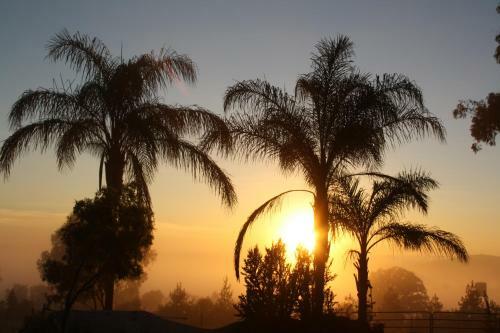 Hotel Misty Morn Cottages
