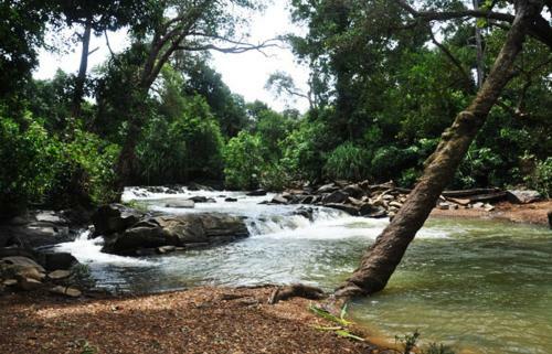 Cottage Stay - Bakula Homestay