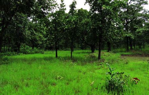 Cottage Stay - Bakula Homestay