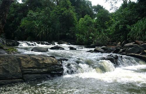 Cottage Stay - Bakula Homestay