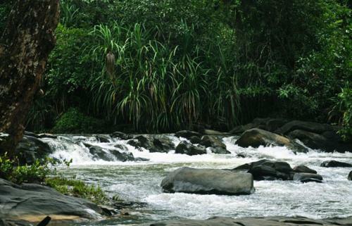 Cottage Stay - Bakula Homestay