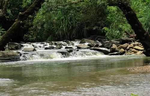Cottage Stay - Bakula Homestay