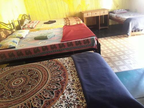 Hostal Zappia Cove Tourist Guest Houes