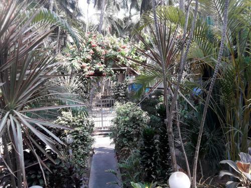 Hostal Zappia Cove Tourist Guest Houes