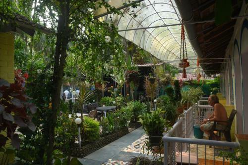 Hostal Zappia Cove Tourist Guest Houes