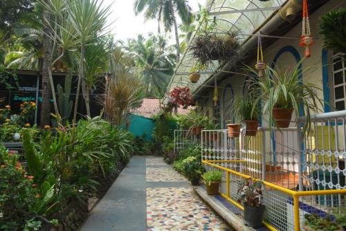 Hostal Zappia Cove Tourist Guest Houes