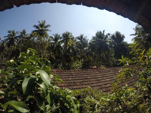 Hostal Zappia Cove Tourist Guest Houes