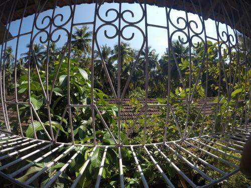 Hostal Zappia Cove Tourist Guest Houes