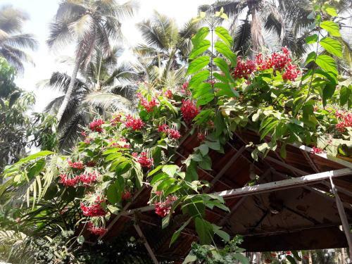 Hostal Zappia Cove Tourist Guest Houes