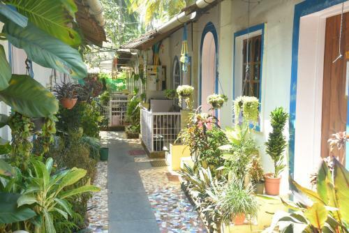 Hostal Zappia Cove Tourist Guest Houes