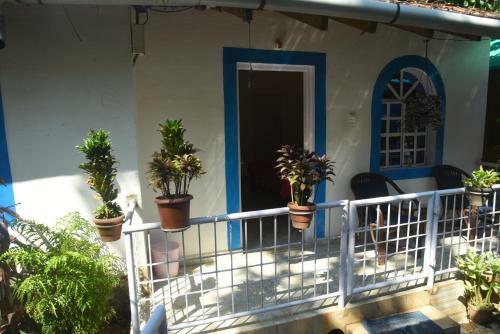 Hostal Zappia Cove Tourist Guest Houes