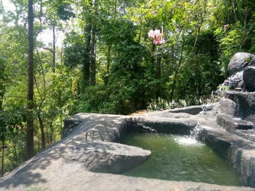 Hotel Jungle Retreat Wayanad