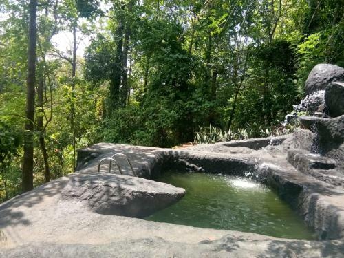 Hotel Jungle Retreat Wayanad