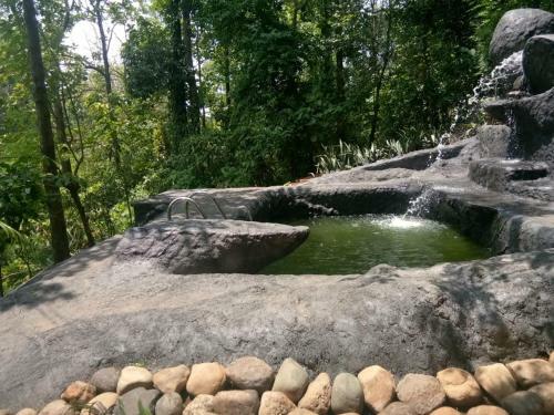 Hotel Jungle Retreat Wayanad