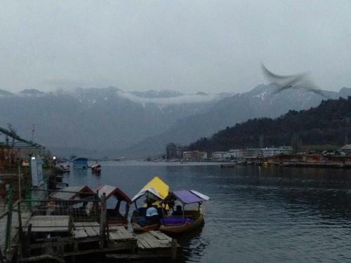 Hotel City Of Kashmir