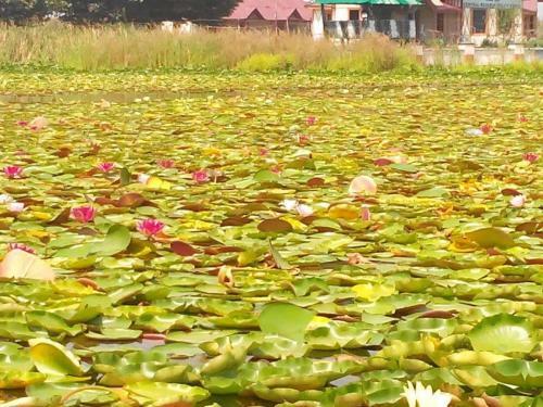 Hotel City Of Kashmir
