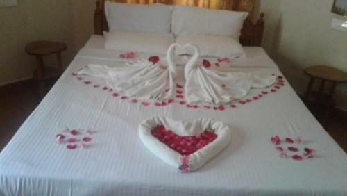 Lodge Spice Villas Holiday