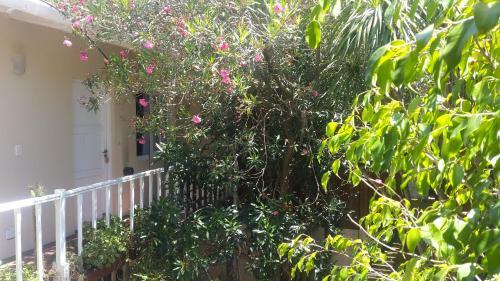 Posada Hoster�a Costa Bonita