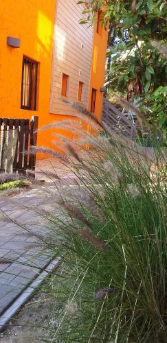 Apartamento Dunas Del Este