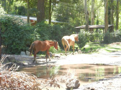 Lodge La Foret