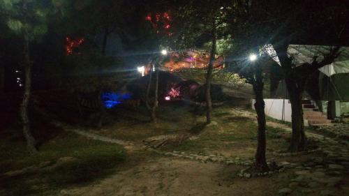 Camp Jungle Junction