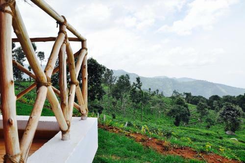 Hotel Hanging Huts Resorts