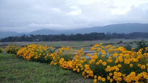 Vamoosetrail Ziro