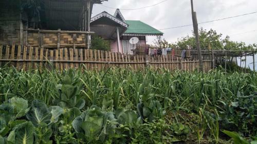 Vamoosetrail Ziro