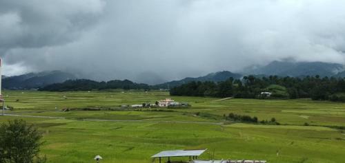 Vamoosetrail Ziro