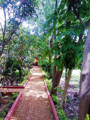 Hotel Prokriti Bon Bungalow