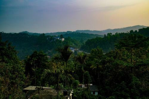 Apartamentos Lavish 1br Home In Munnar