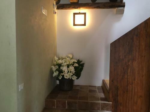 Bed & Breakfast La Barchessa
