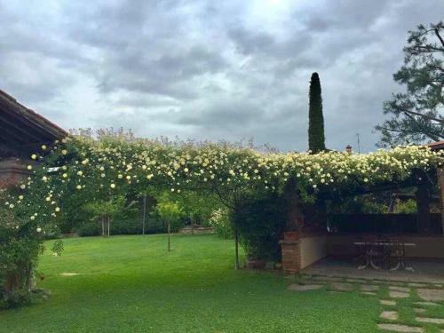 Hostal Osteria I'casolare