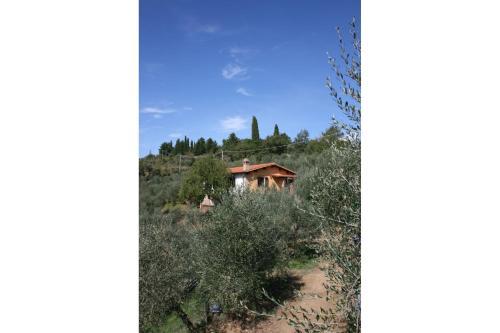 Farnetella Villa Sleeps 4 Pool Wifi